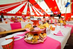 Tour de Pin-K/Fotopuzzeltocht Wouwse Plantage 2017