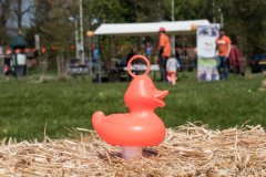 Koningsdag 2023