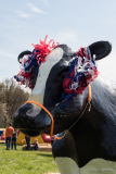 Koningsdag 2023